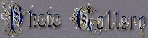 Gallery header