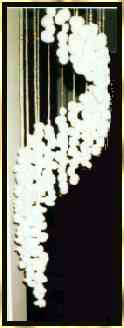 wind chime