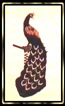 peacock